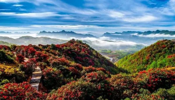 贵州毕节旅游十大景点排名（毕节10大景区介绍）