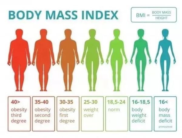 2022最新标准体重表，可以评测自己属于什么样的身材