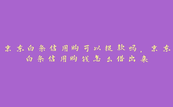 京东白条信用购可以提款吗，京东白条信用购钱怎么借出来