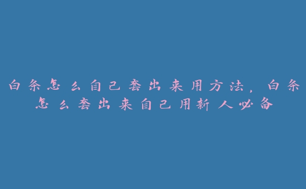 白条怎么自己套出来用方法，白条怎么套出来自己用新人必备