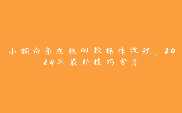 小额白条在线回款操作流程，2024年最新技巧分享