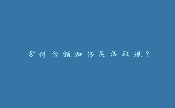 分付金额如何灵活取现？