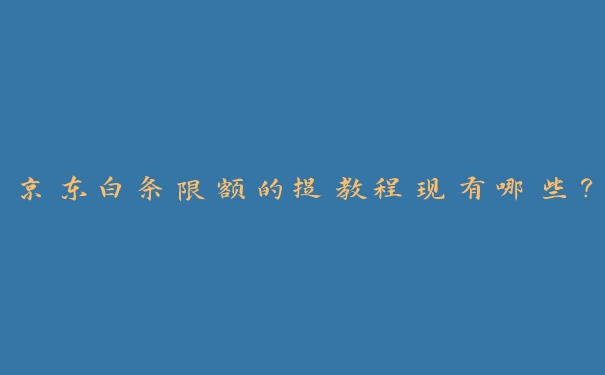 京东白条限额的提教程现有哪些？