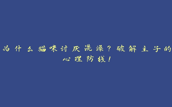 为什么猫咪讨厌洗澡？破解主子的心理防线！