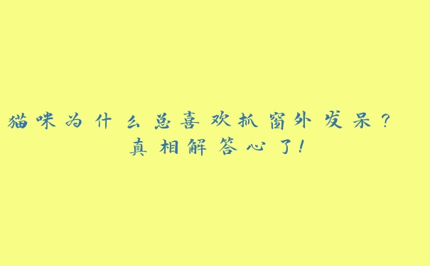 猫咪为什么总喜欢抓窗外发呆？ 真相解答心了！