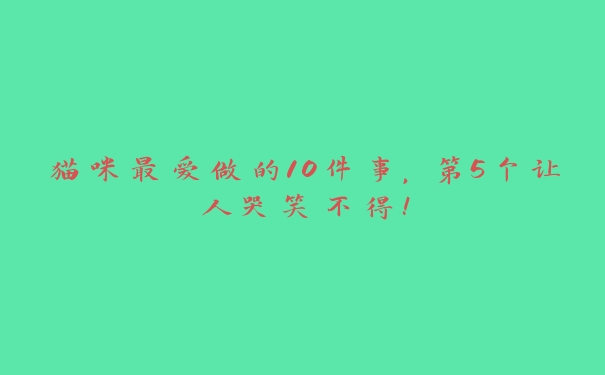 猫咪最爱做的10件事，第5个让人哭笑不得！