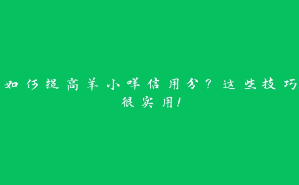 如何提高羊小咩信用分？这些技巧很实用！