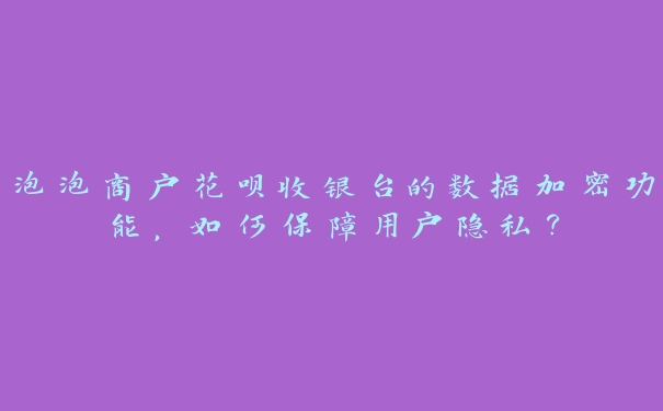 泡泡商户花呗收银台的数据加密功能，如何保障用户隐私？