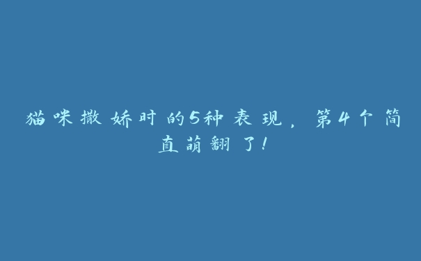 猫咪撒娇时的5种表现，第4个简直萌翻了！