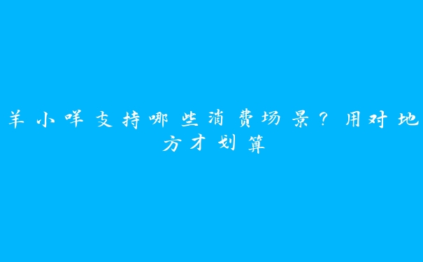 羊小咩支持哪些消费场景？用对地方才划算