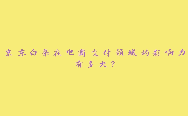 京东白条在电商支付领域的影响力有多大？