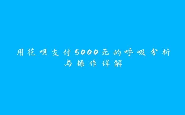 用花呗支付5000元的呼吸分析与操作详解