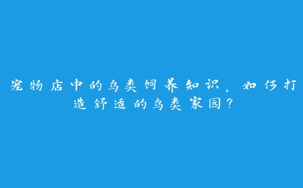 宠物店中的鸟类饲养知识，如何打造舒适的鸟类家园？