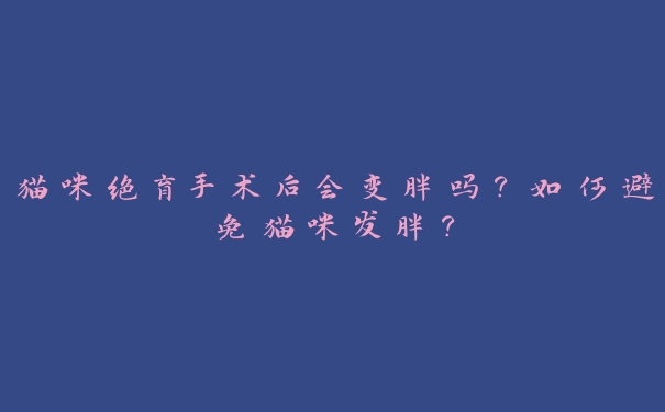 猫咪绝育手术后会变胖吗？如何避免猫咪发胖？