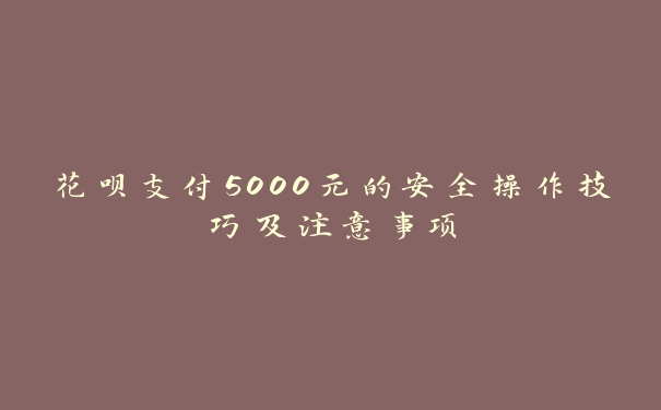 花呗支付5000元的安全操作技巧及注意事项