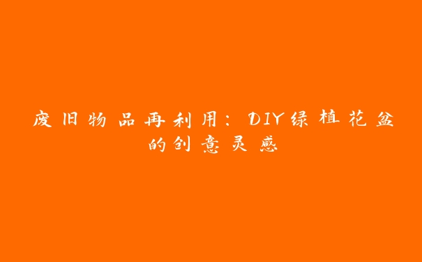 废旧物品再利用：DIY绿植花盆的创意灵感