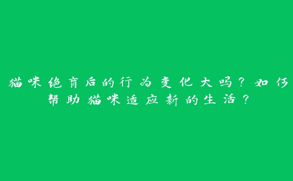 猫咪绝育后的行为变化大吗？如何帮助猫咪适应新的生活？