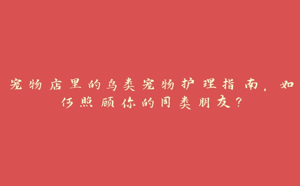 宠物店里的鸟类宠物护理指南，如何照顾你的同类朋友？