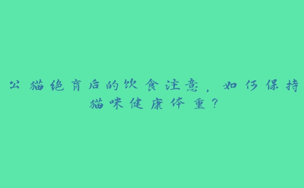 公猫绝育后的饮食注意，如何保持猫咪健康体重？