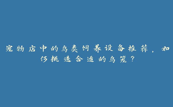 宠物店中的鸟类饲养设备推荐，如何挑选合适的鸟笼？