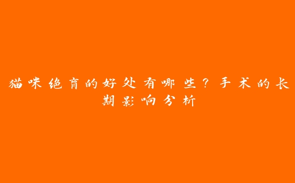 猫咪绝育的好处有哪些？手术的长期影响分析