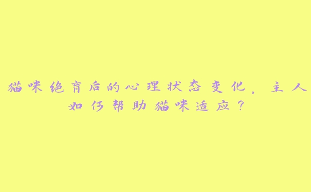 猫咪绝育后的心理状态变化，主人如何帮助猫咪适应？