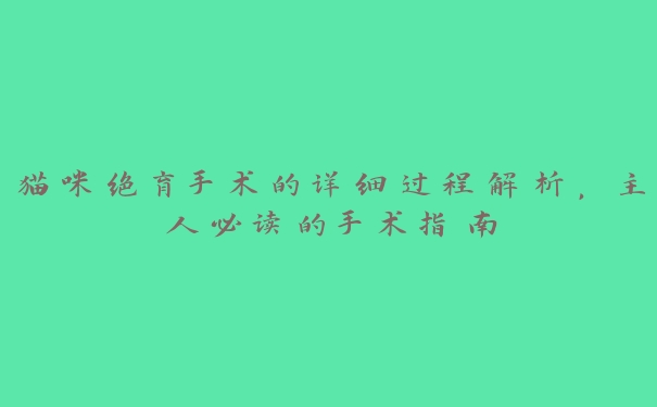 猫咪绝育手术的详细过程解析，主人必读的手术指南