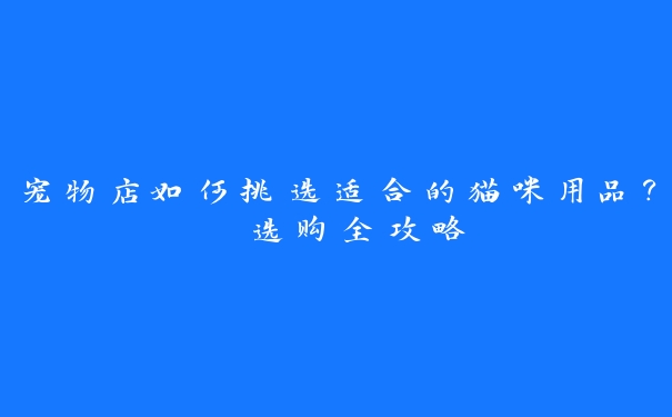 宠物店如何挑选适合的猫咪用品？ 选购全攻略