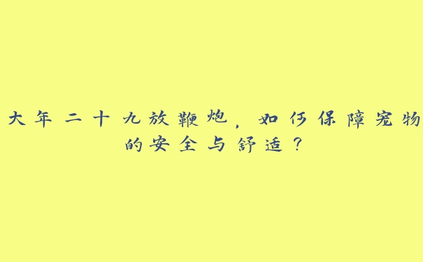 大年二十九放鞭炮，如何保障宠物的安全与舒适？