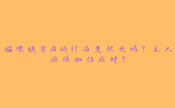 猫咪绝育后的行为变化大吗？主人应该如何应对？