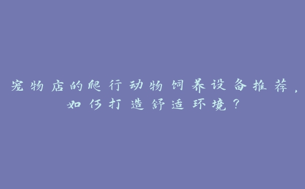 宠物店的爬行动物饲养设备推荐，如何打造舒适环境？