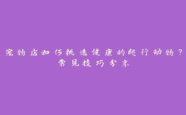 宠物店如何挑选健康的爬行动物？常见技巧分享