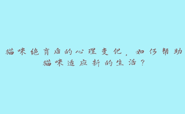 猫咪绝育后的心理变化，如何帮助猫咪适应新的生活？