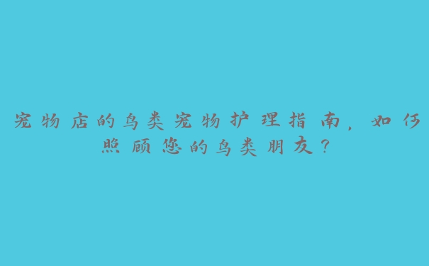 宠物店的鸟类宠物护理指南，如何照顾您的鸟类朋友？