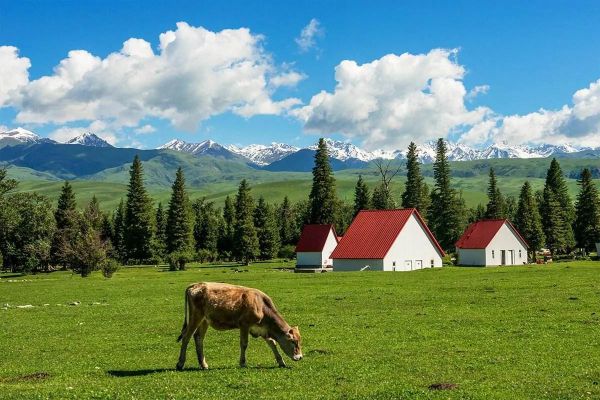 10个新疆最值得去的景点，新疆旅游必去十大景点推荐